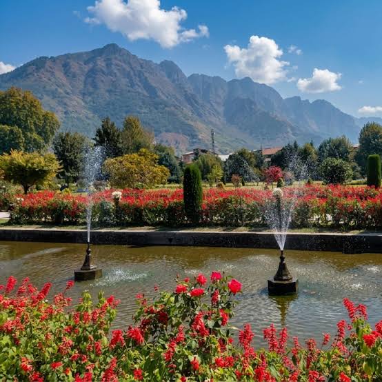 Exploring the Serenity of Srinagar